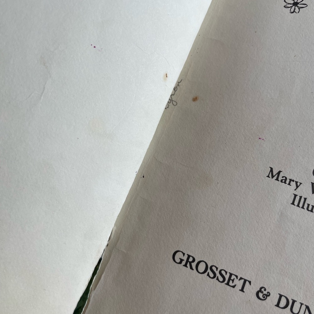 Vintage Anne of Green Gables Book — See Photos for Condition - Picture 8 of 11